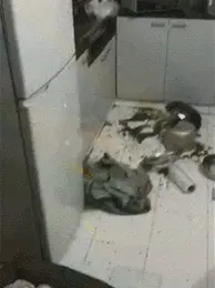 养狗的主人出门半小时，回家感觉天都塌了，家里被狗狗弄得不成样
