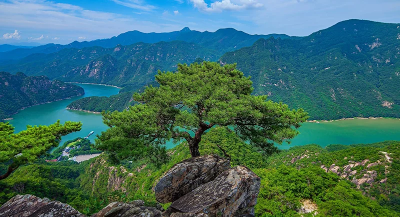 一湾碧水绕青山，松立峰头揽风光