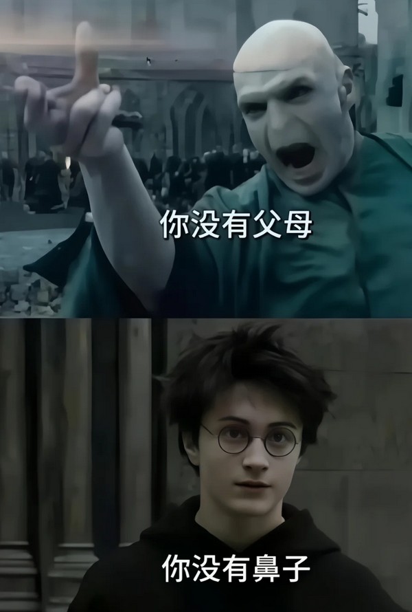 哈利波特伏地魔互怼表情包，哈利波特趣味斗图