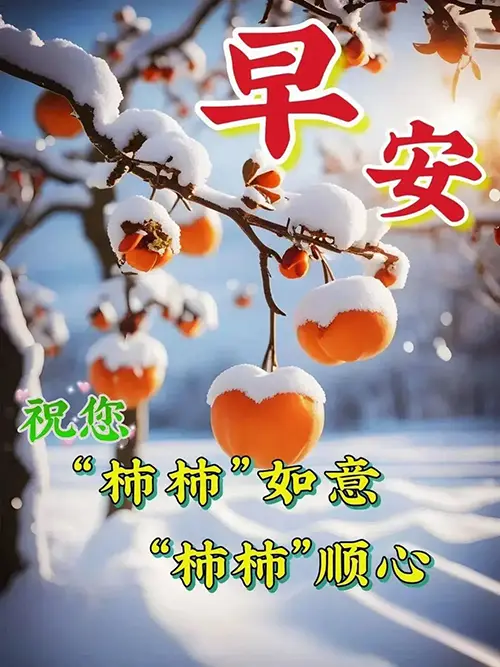 早安美语：祝你柿柿如意，柿柿顺心