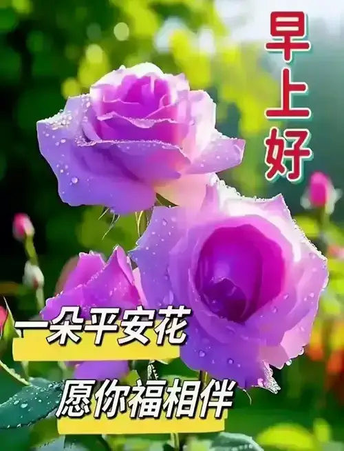 早上好！送你一朵平安花，愿你幸福常相伴